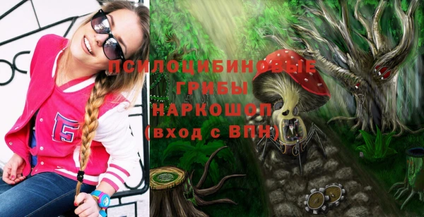 прущая мука Арсеньев