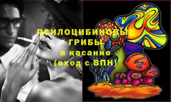 молекула духа Балахна