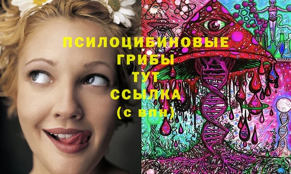 соль курить ск Армянск